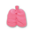 Lungs Stock Shape Pencil Top Eraser